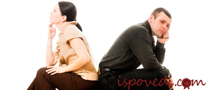 семейная история