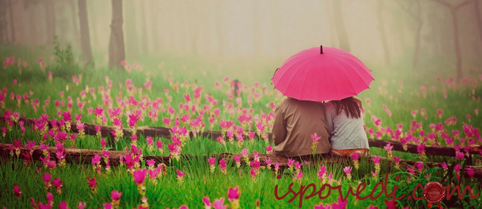 пара отдыхает среди цветов