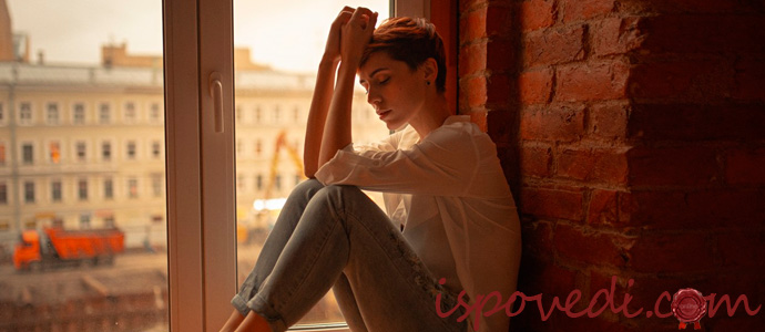 история о соседях