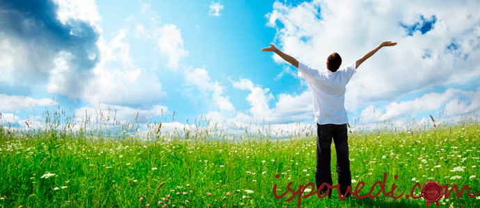 исповедь парня чайлдфри