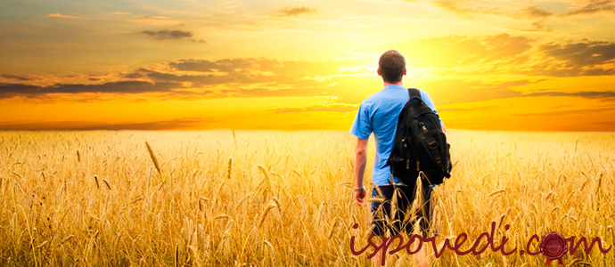 исповедь разведенного мужчины