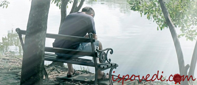 семейная история