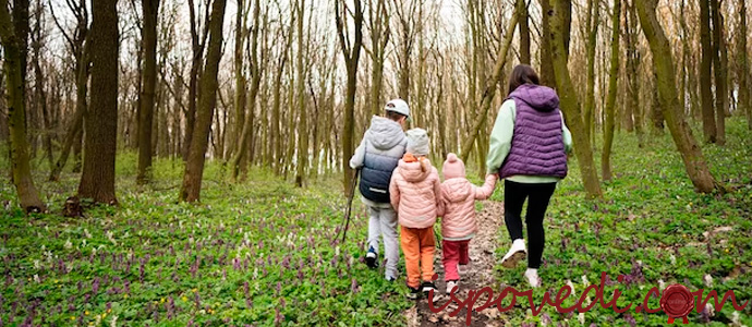 мама с детьми на прогулке