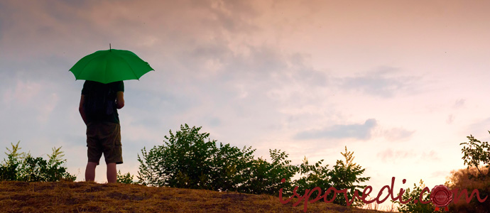 одинокий мужчина