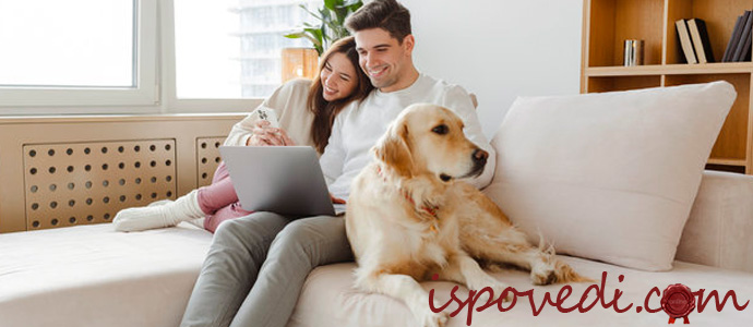 бездетная семья