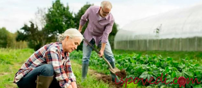 работа на дачном участке