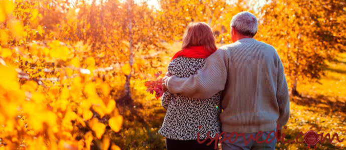 пожилая пара в парке