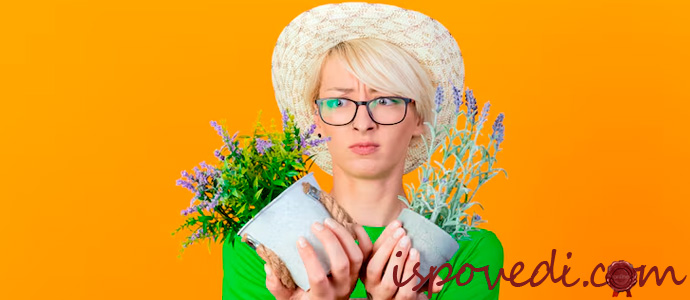 девушка разводит цветы