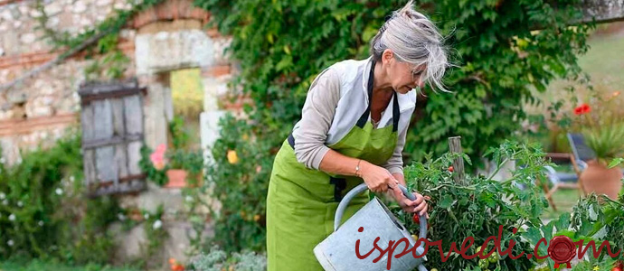 женщина на даче