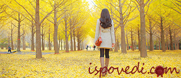 Влюбиться с первого взгляда