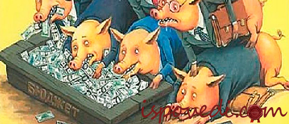 Государственное воровство