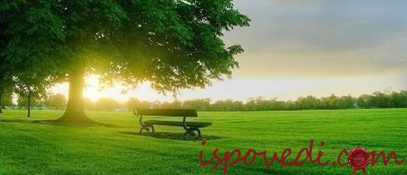 Не обижайте своих близких Не обижайте своих близких