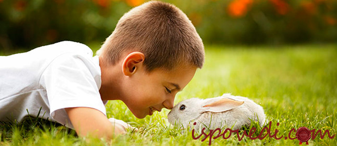 исповедь одинокого парня