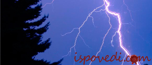 гроза в лесу