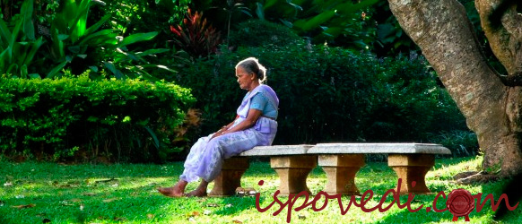 Правдивый рассказ о бабушке мужа