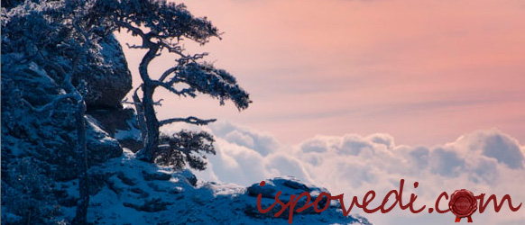 фигура на горе