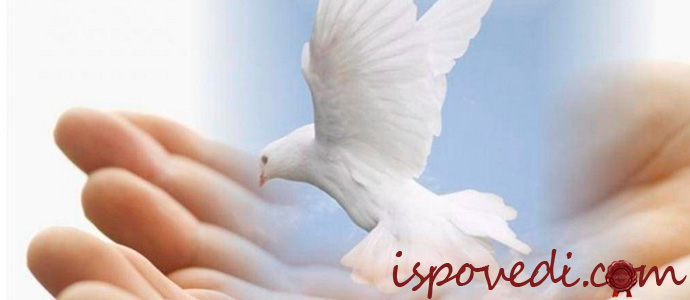 история об отношениях и доброте