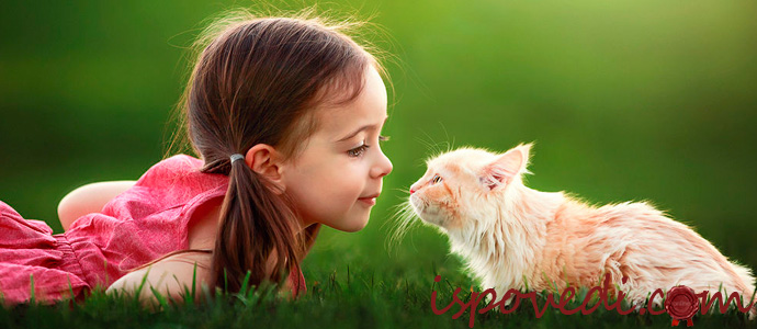 исповедь девочки о спасенном котенке