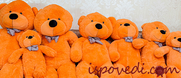 Оранжевый плюшевый подарок