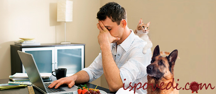 исповедь одинокого парня, пишущего дневник