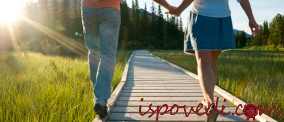 история одной дружбы