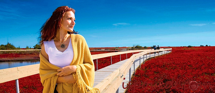 исповедь девушки, которая не нашла себя в жизни