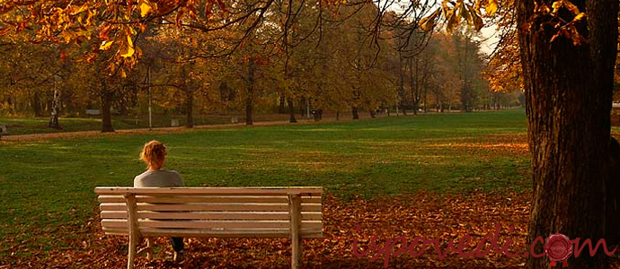 печальная история об одиночестве серди людей