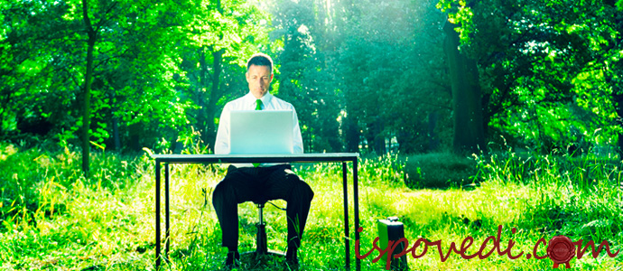 история о работе и деньгах