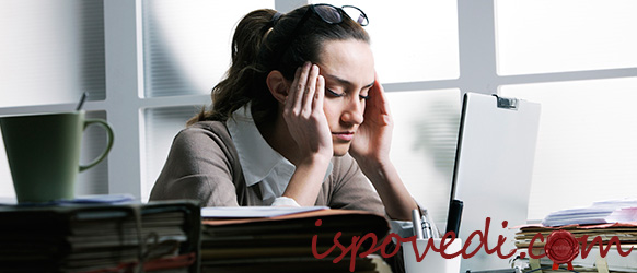 История из жизни офисного планктона