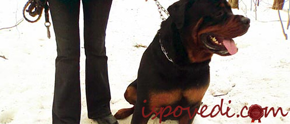 Мистические способности сестры Мистические способности сестры