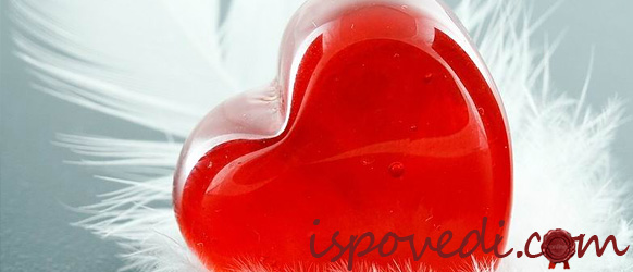 Студенческая любовь