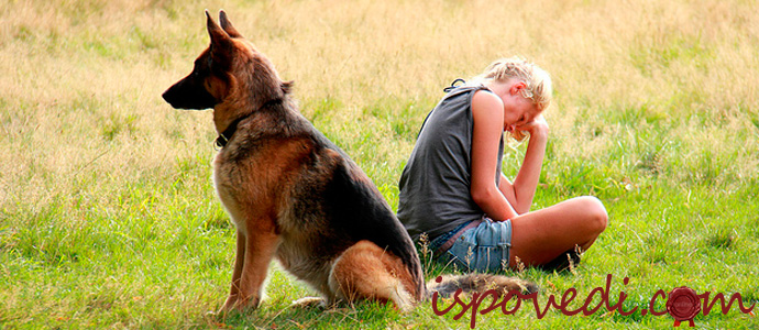 история о преданном друге