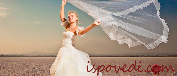 История из реальной жизни про отмену свадьбы