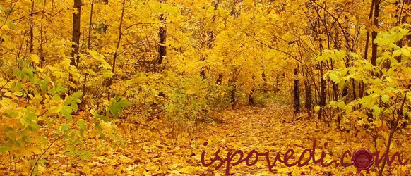 Размышления о будущем и старости